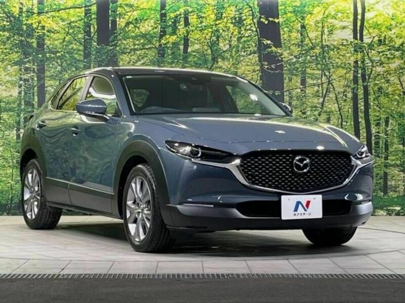 CX-30-15