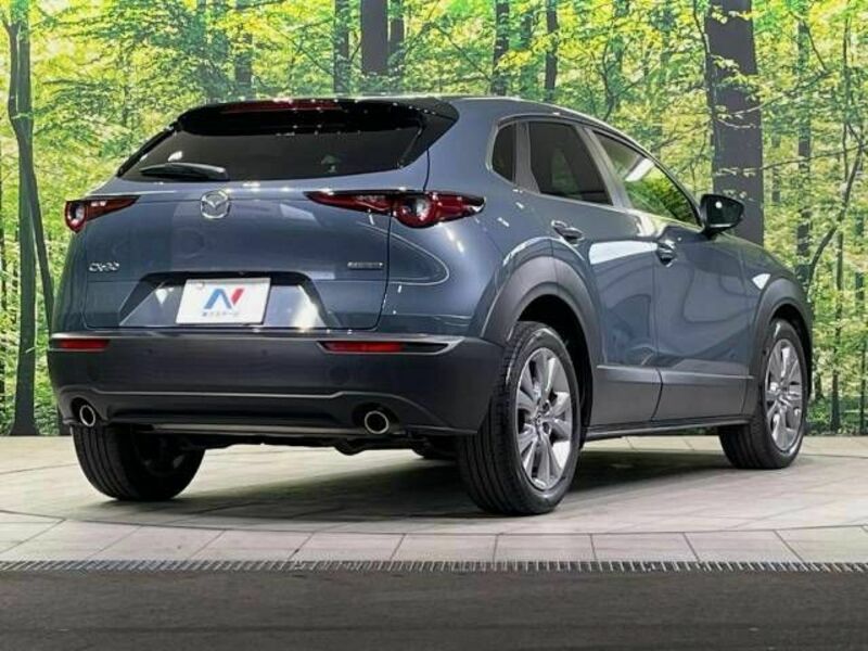 CX-30-16