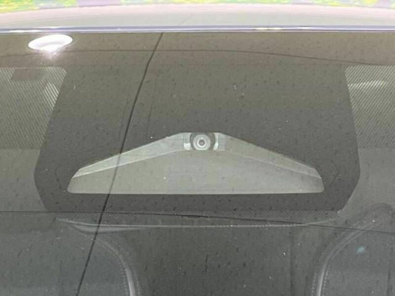 PRIUS-4