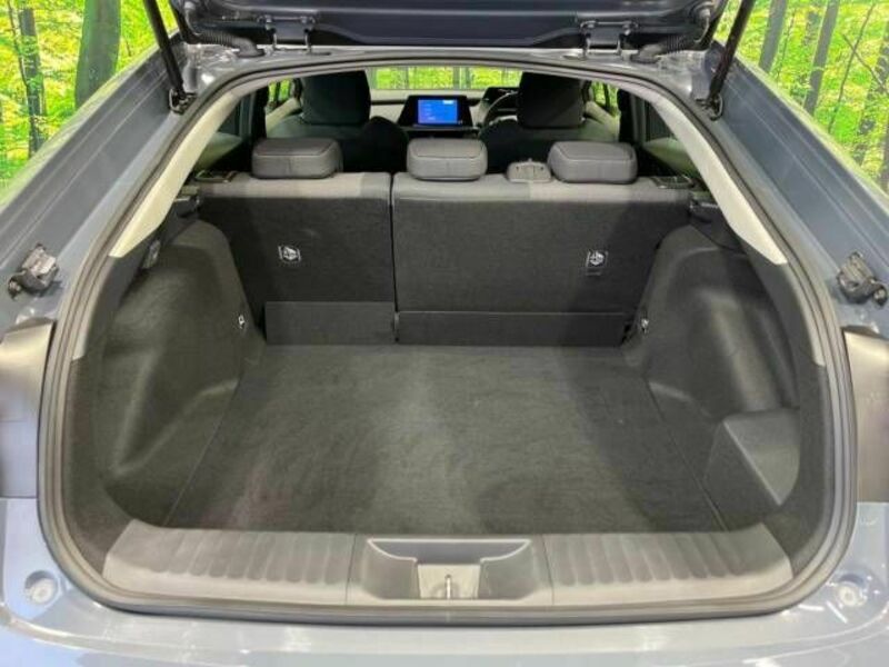 PRIUS-9