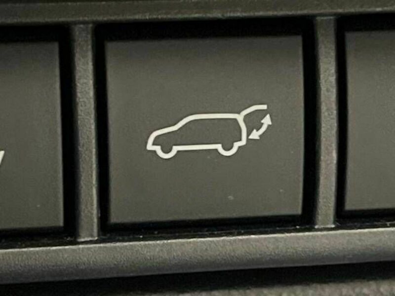 PRIUS-6