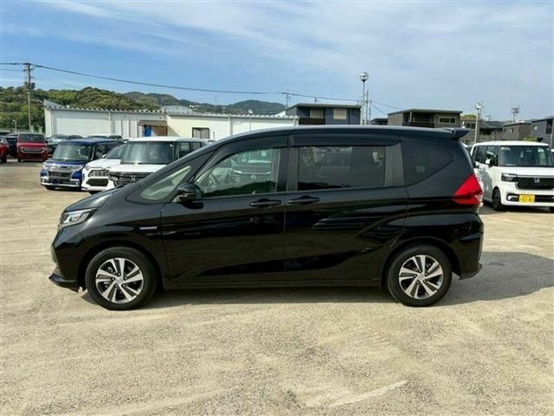 FREED HYBRID-5