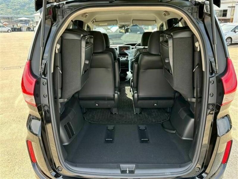 FREED HYBRID-13