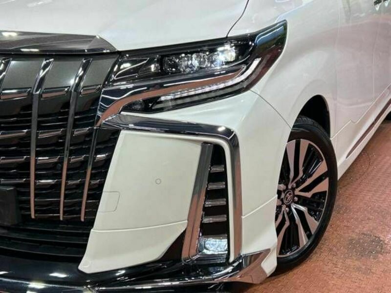 ALPHARD-12