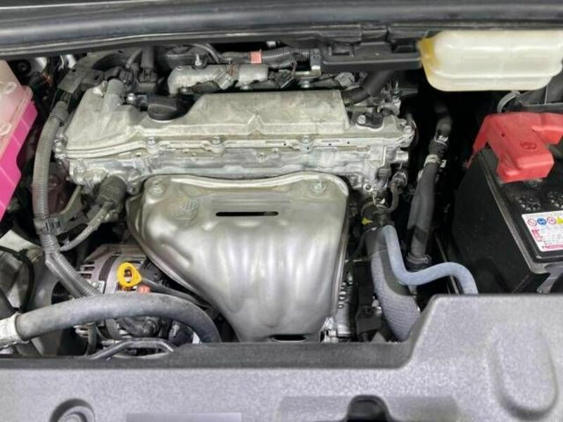 ALPHARD-18
