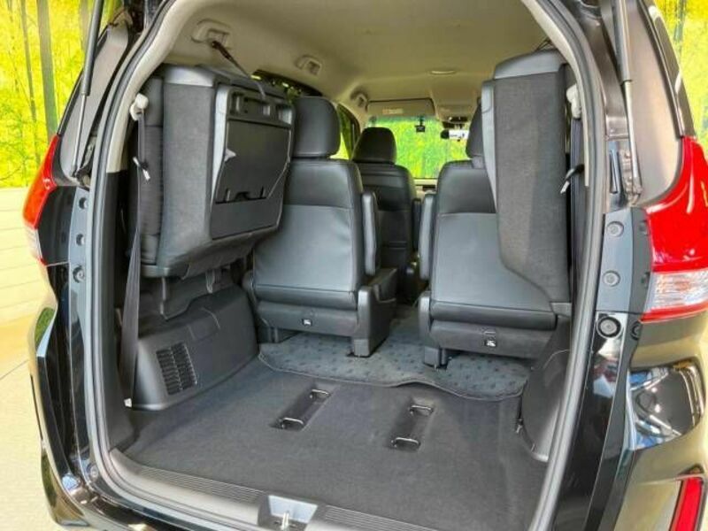 FREED HYBRID-10