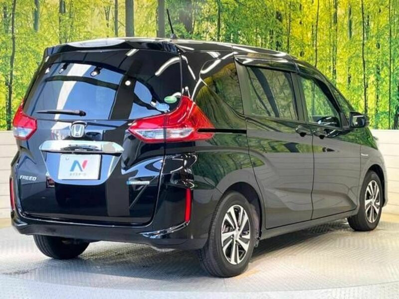 FREED HYBRID-17