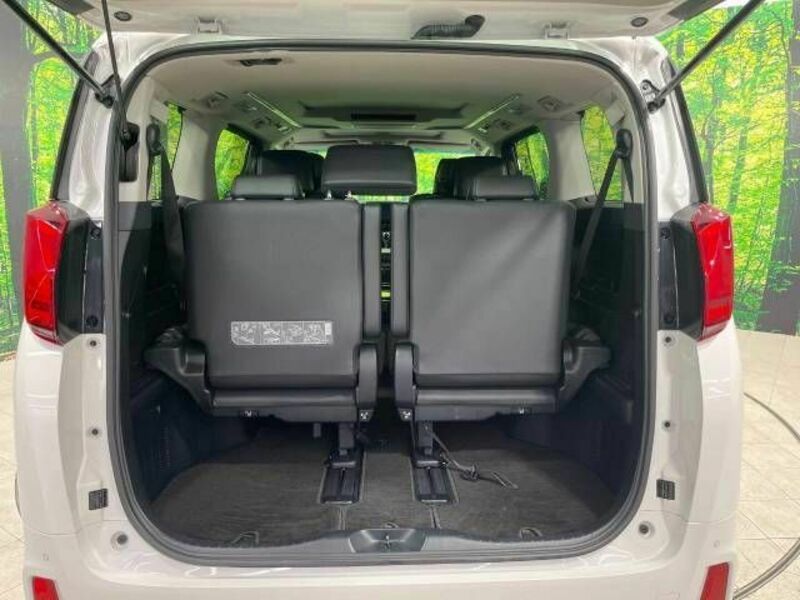 ALPHARD-10