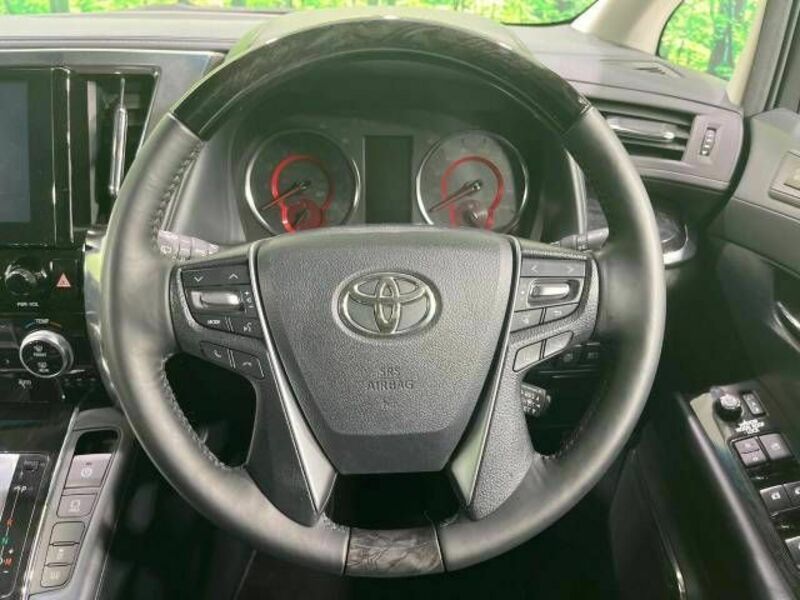 ALPHARD-11