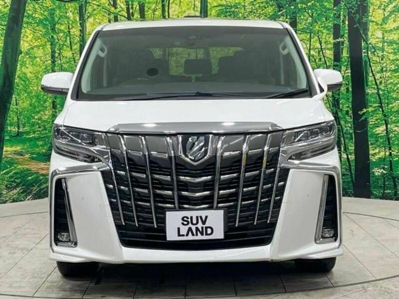 ALPHARD-14