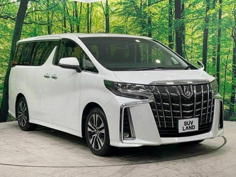 ALPHARD-16