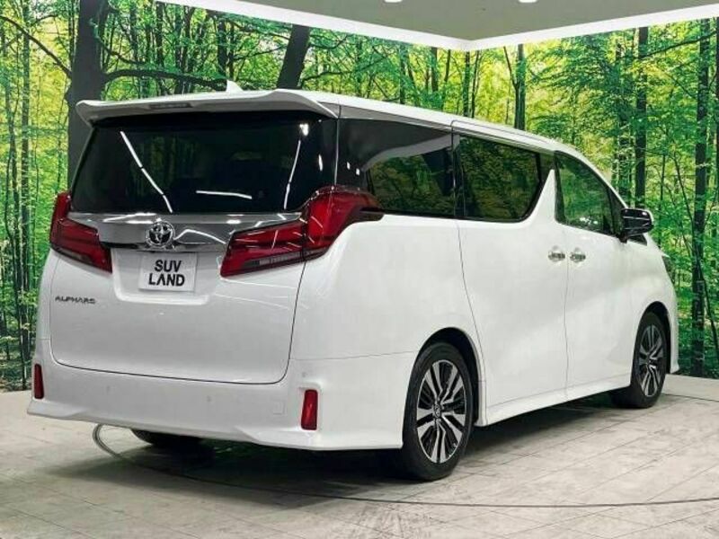 ALPHARD-17