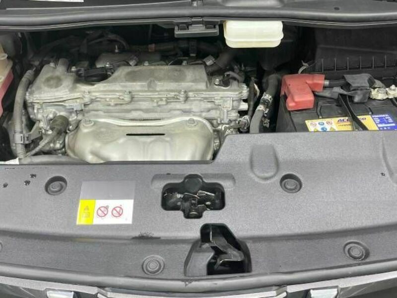 ALPHARD-18