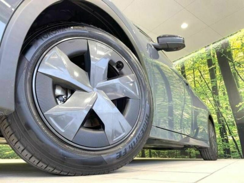 PRIUS-12