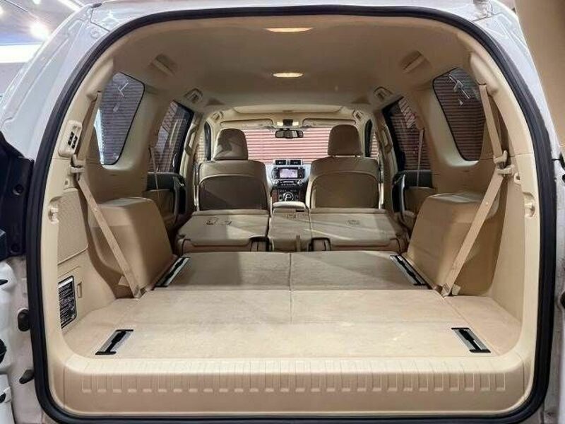 LAND CRUISER PRADO-19