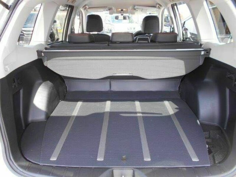 FORESTER-10