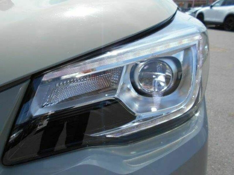 FORESTER-12