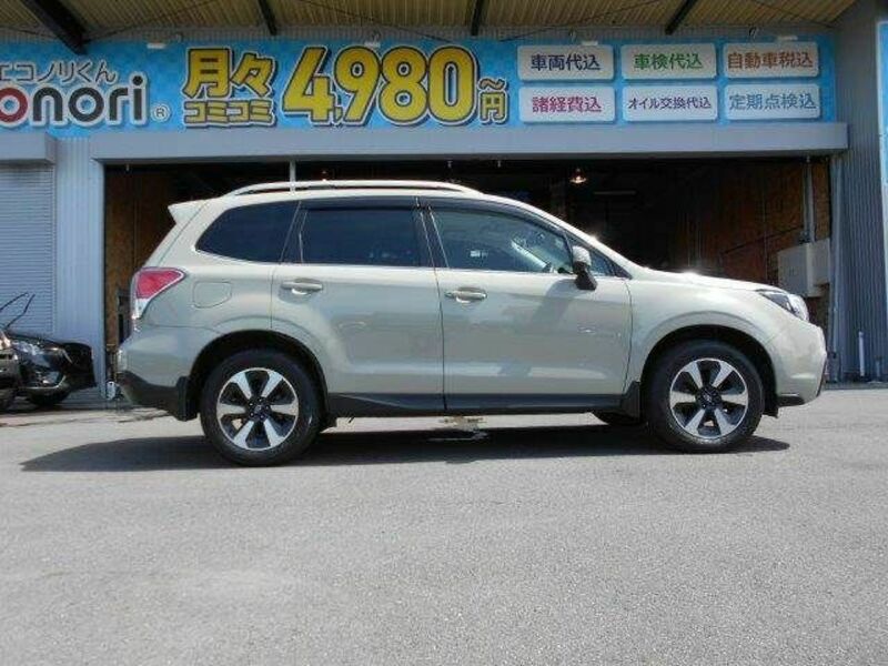 FORESTER-17