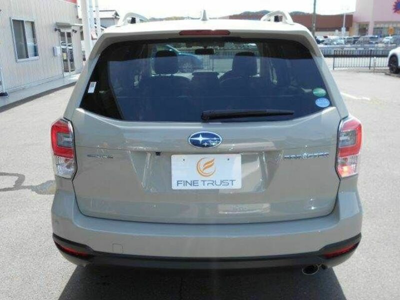 FORESTER-19