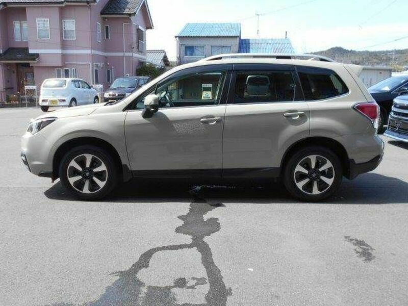 FORESTER-21