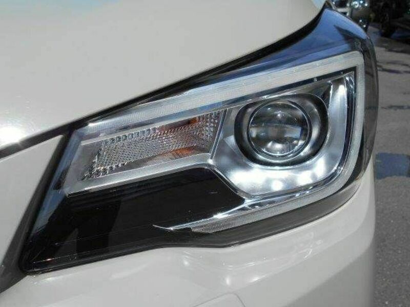 FORESTER-22