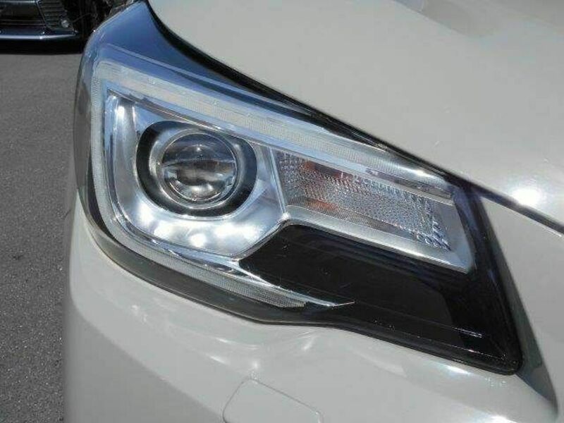 FORESTER-23