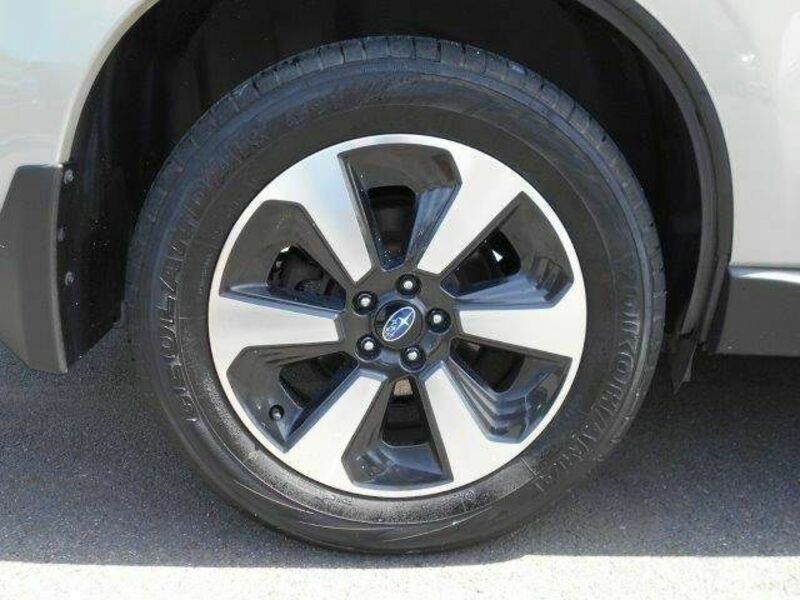 FORESTER-28