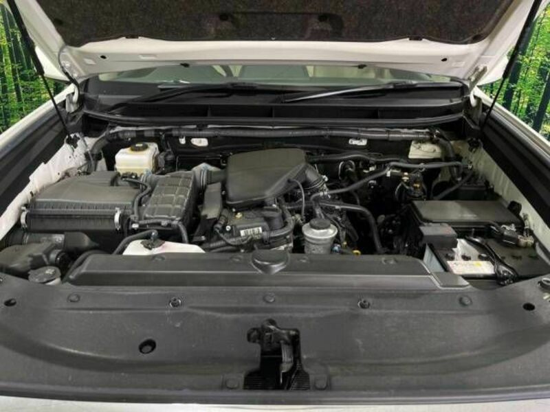 LAND CRUISER PRADO-17