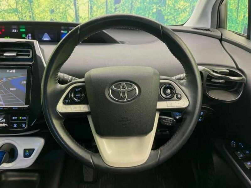 PRIUS-10