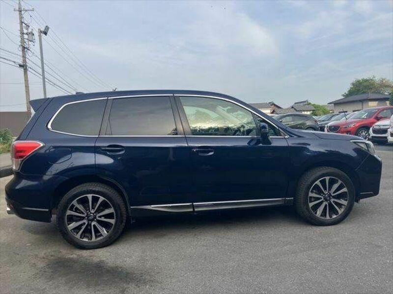 FORESTER-14