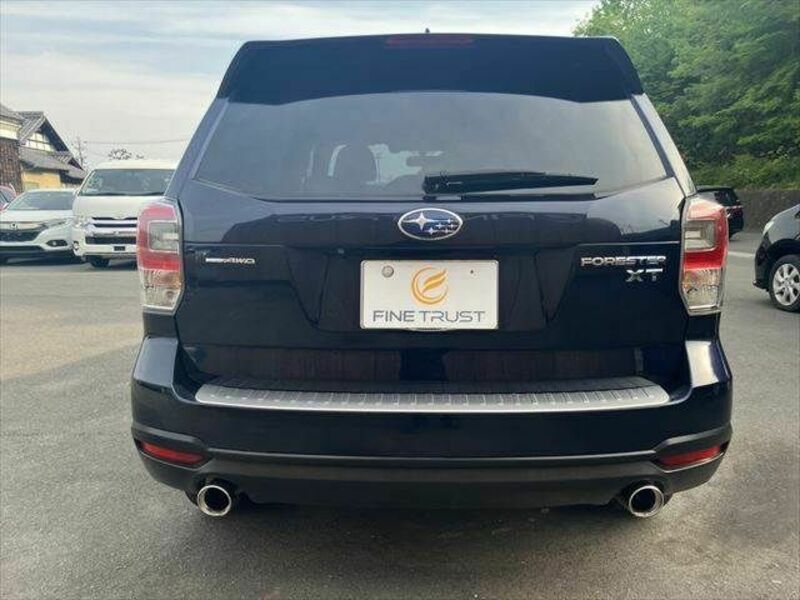 FORESTER-16