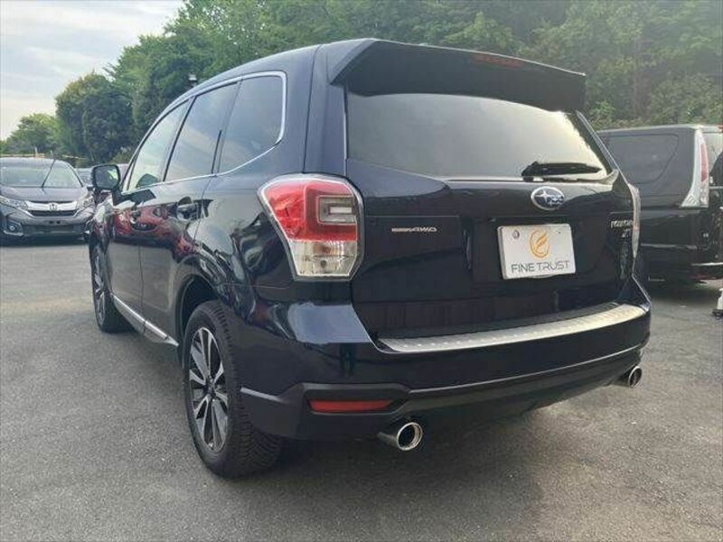FORESTER-17