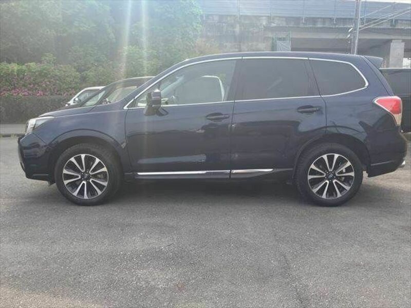 FORESTER-18