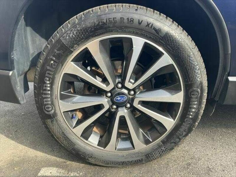 FORESTER-25
