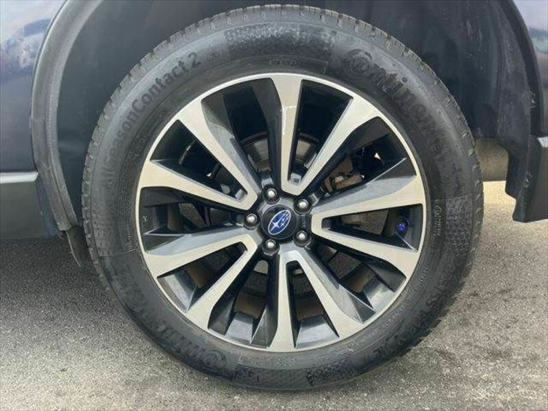 FORESTER-26