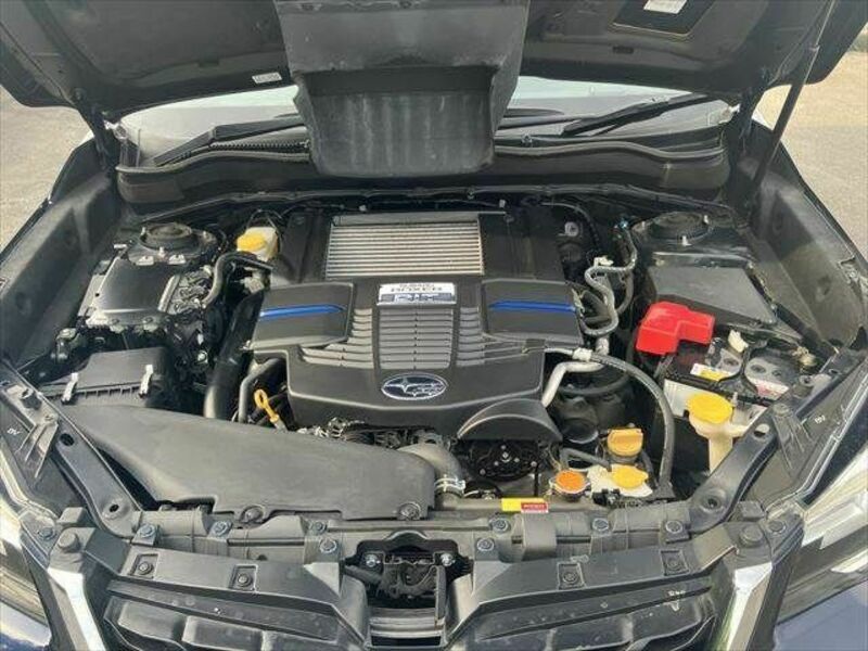 FORESTER-28