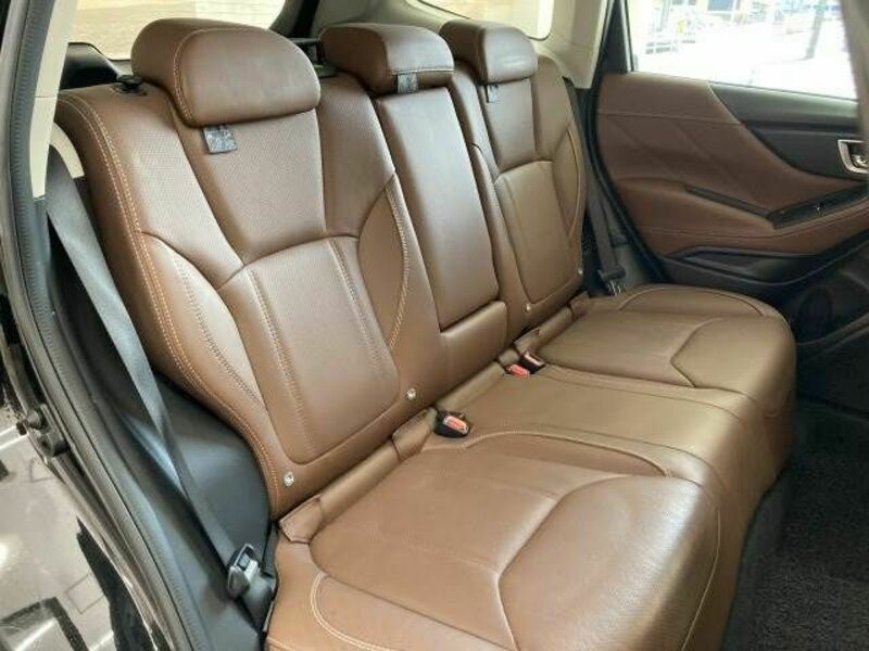 FORESTER-11