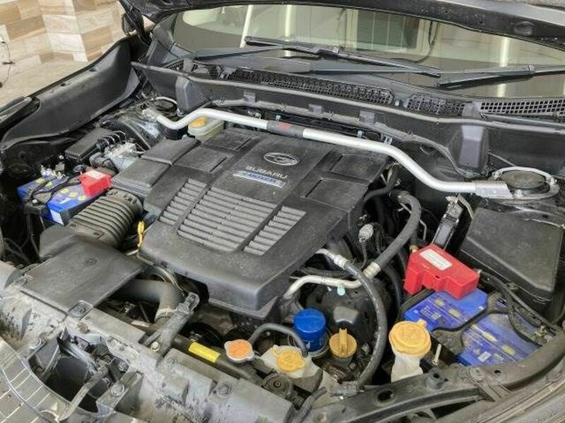 FORESTER-17