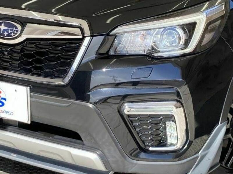 FORESTER-19