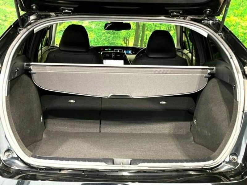 PRIUS-10