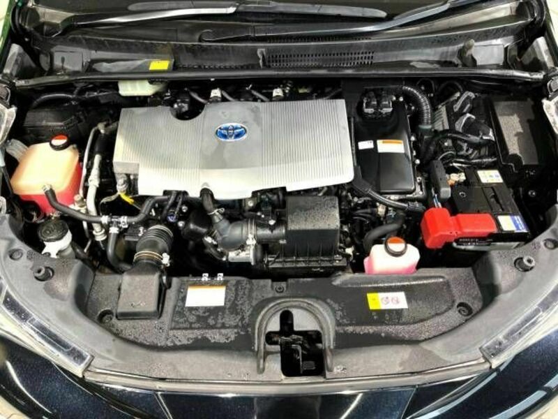 PRIUS-18