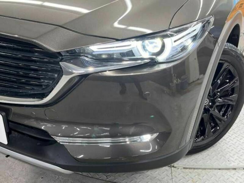 CX-8-11
