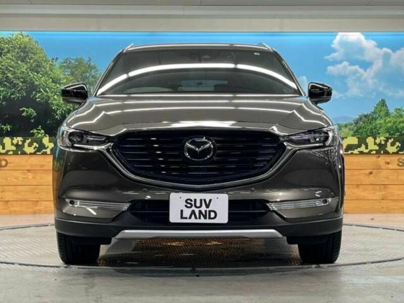 CX-8-13