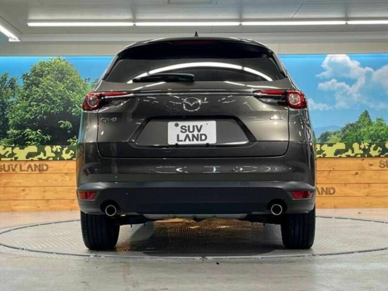 CX-8-14