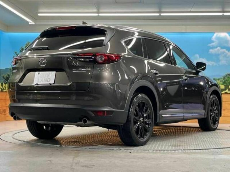 CX-8-16
