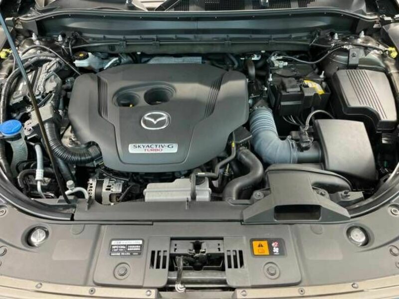 CX-8-17