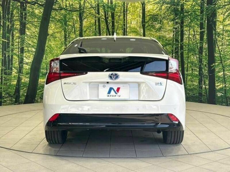 PRIUS-13