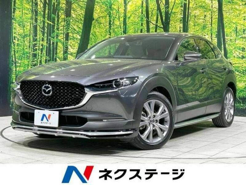 CX-30