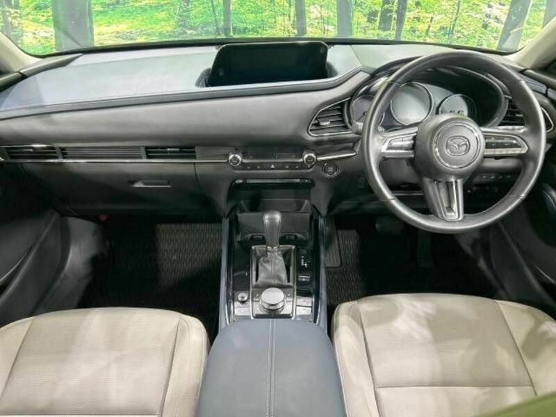 CX-30-1