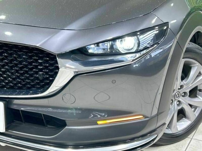 CX-30-11